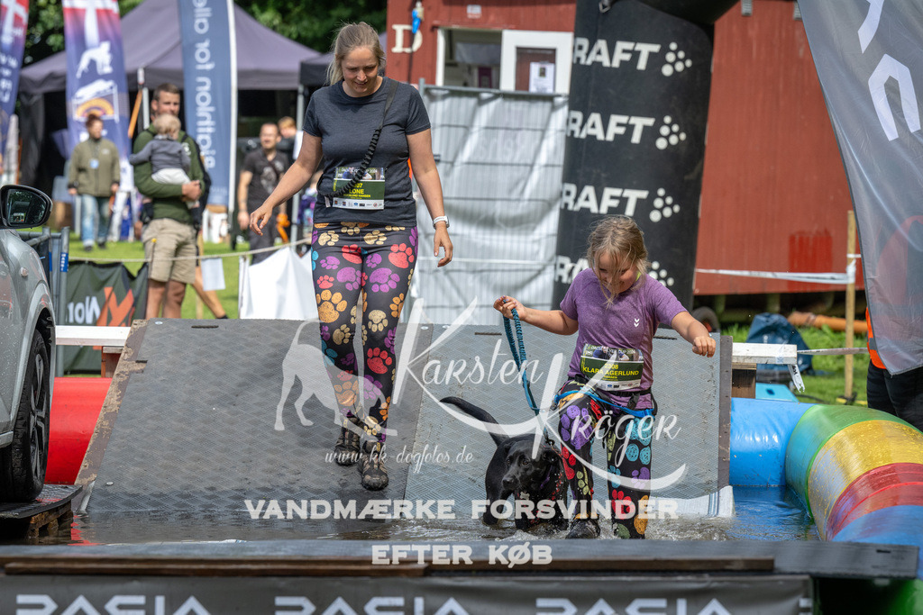 1446_ZZ92454 | kk-dogfotos