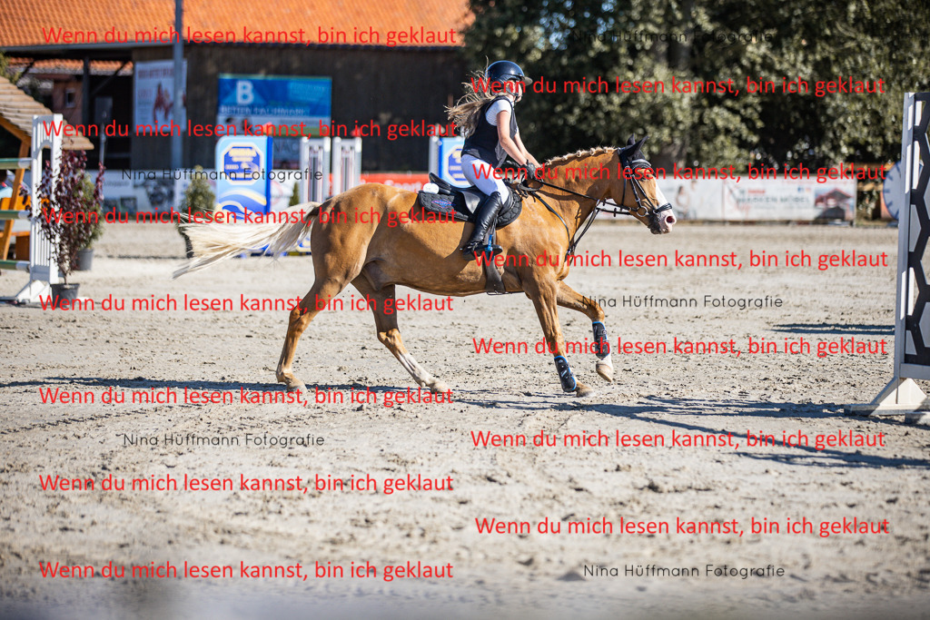BK1A8065 | Turnierbilder Turnierfotos Nina Hüffmann Turnierfotografie Pferdefotografie Tierzeichnung Haustierzeichnung Pferdezeichnung Hundezeichnung Videograf  - Realisiert mit Pictrs.com