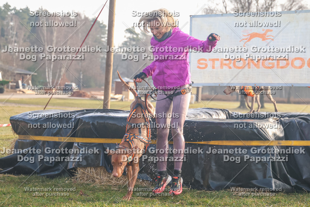Dog Paparazzi - SD North Sa 830-900-187 | Dog Paparazzi Jeanette Grottendiek Fotografie & Videografie - Realisiert mit Pictrs.com