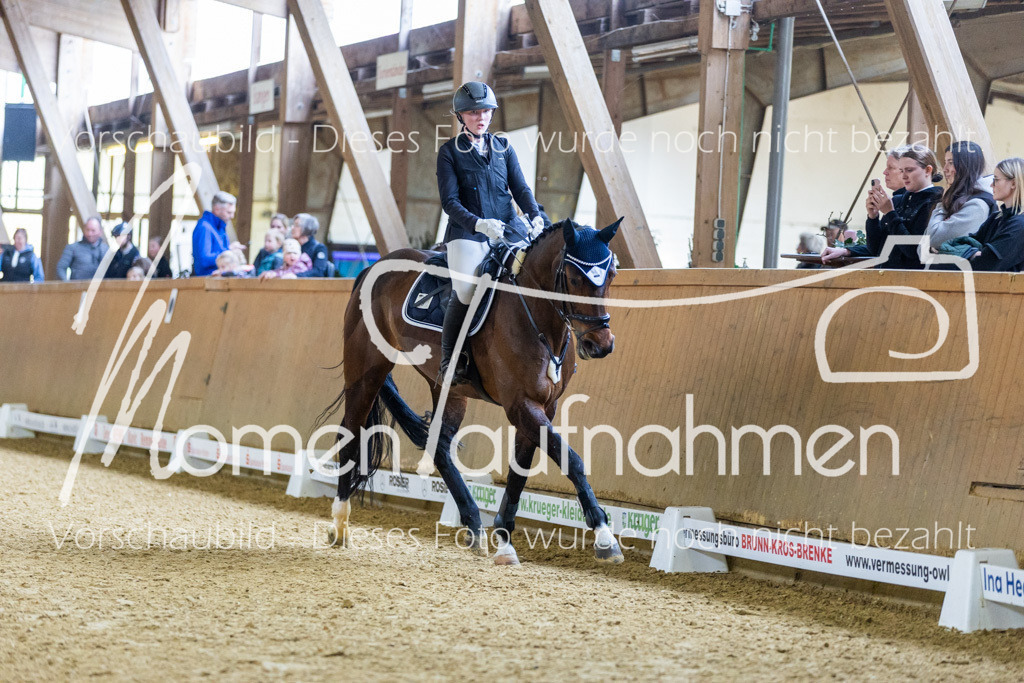 Sth-LPO25-Kombi-022 | MomenTaufnahmen Pferdesportfotos