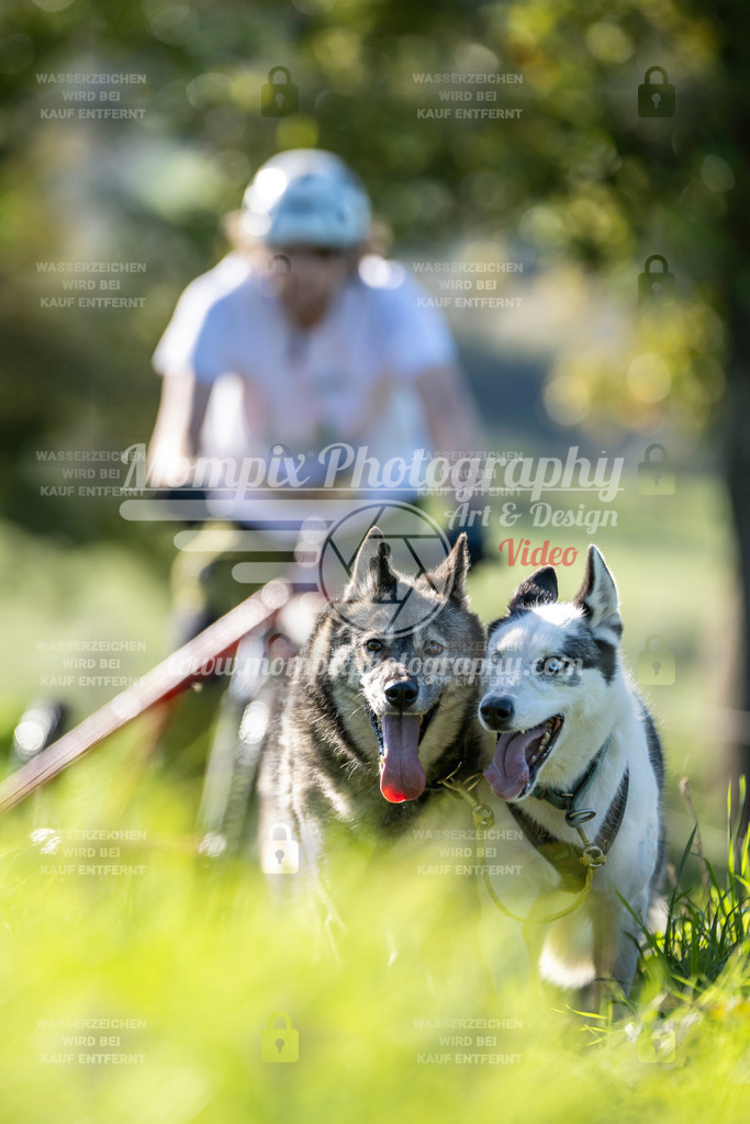 MompixPhotography_20TSB_E3_Kart-15 | PayLife