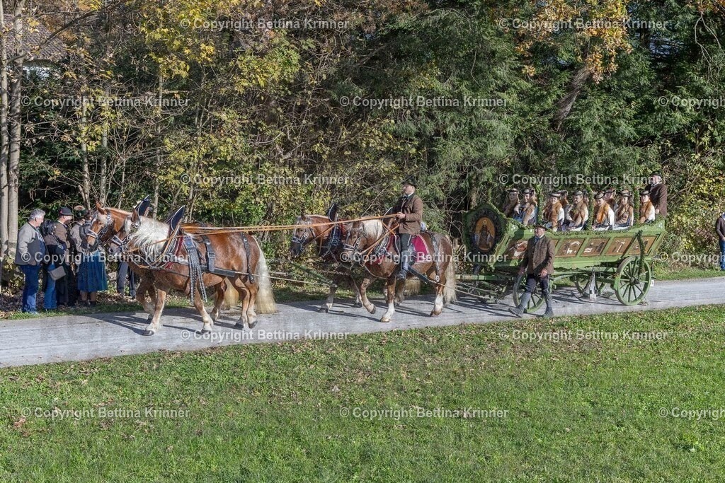 LBT24-725 | Professionelle Fotografin mit Fachgeschäft in Lenggries & im Landkreis Bad Tölz Wolfratshausen. Hochzeitsreportage, Familienfotos, Newborn-, Babybauch-, Pass- & Businessfotos.Alles Rund ums Foto