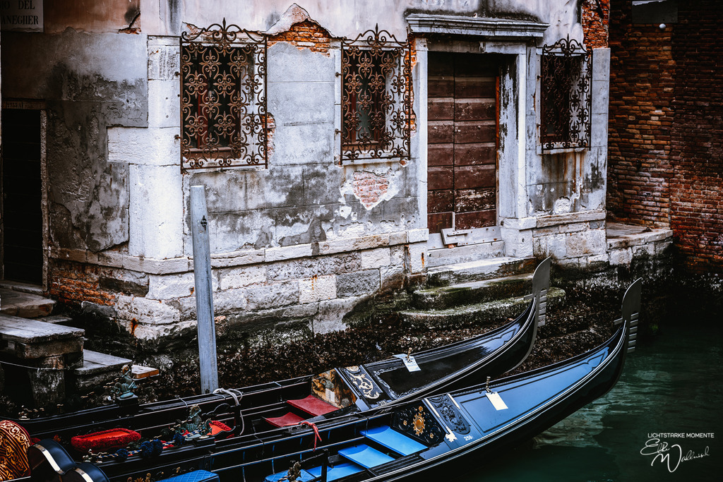 20220311-103057 ITALIEN-Venedig_143-1 Kopie | Herzlich willkommen auf meiner Seite! Ich bin Elke Wallnisch, Deine Fotografin für lichtstarke Momente. Der Name steht für alles, was mich mit der Fotografie verbindet: Das Licht und seine machtvolle Wirkung auf eine Situation oder unsere Stimmung - Realisiert mit Pictrs.com