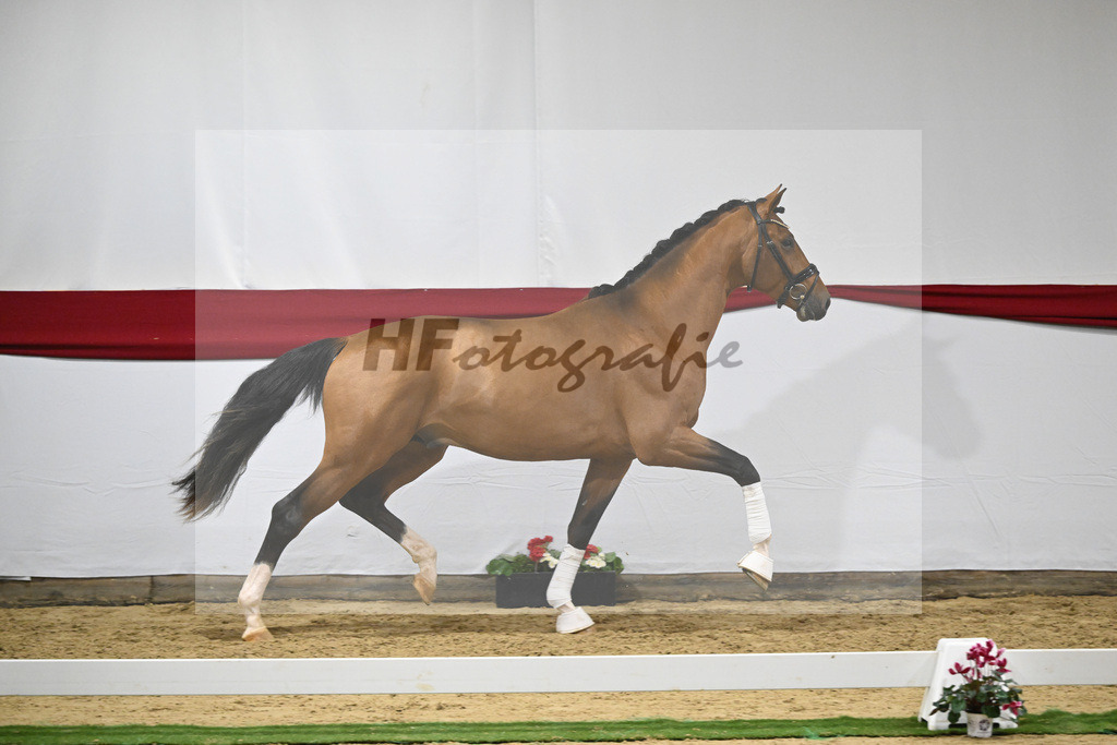 Kat-Nr. 54 v. Vaderland_Rakelbusch_63221577 | hf-fotografie - Realizzato con Pictrs.com