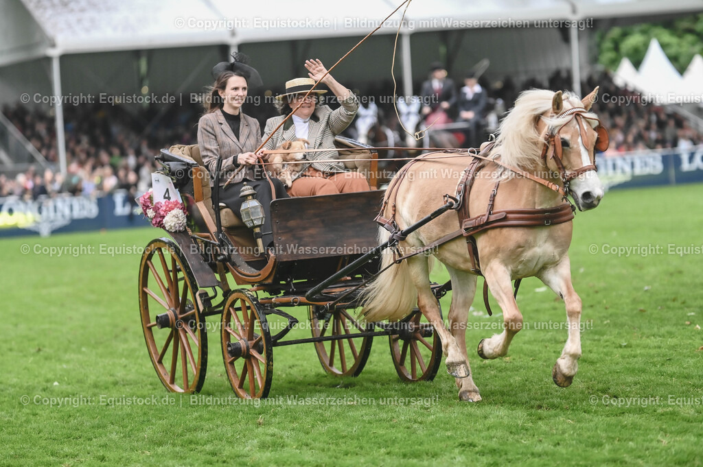 20240517_Lange-Pferdenacht_0173 | Foto: Thomas Hartig
