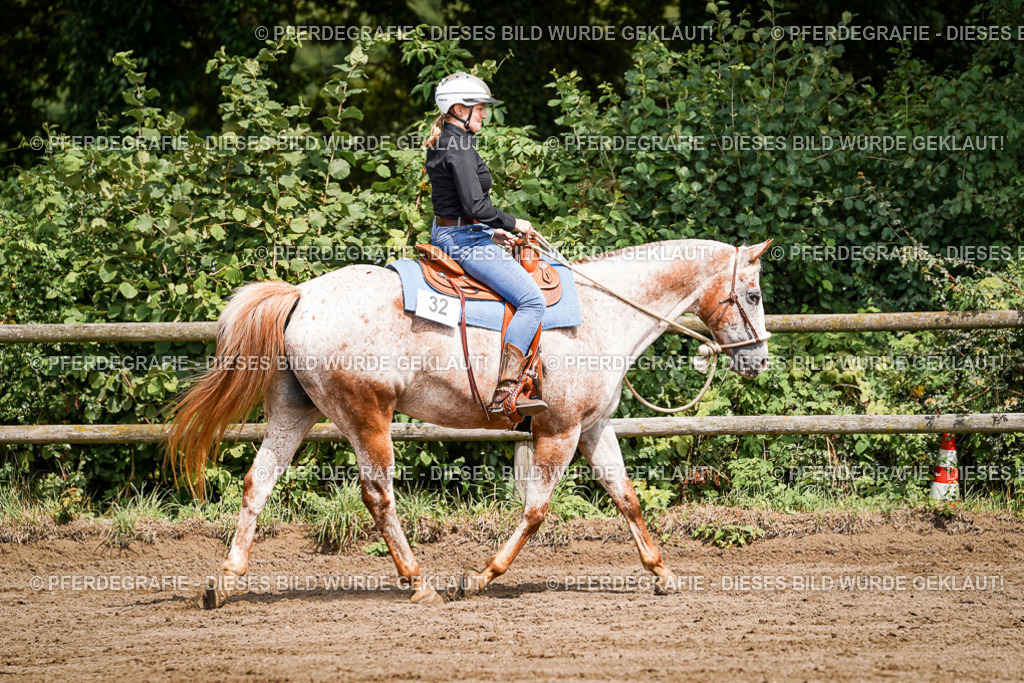 DSC07292 | Pferdegrafie