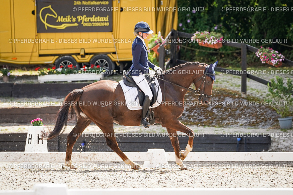 DSC09335 | Pferdegrafie