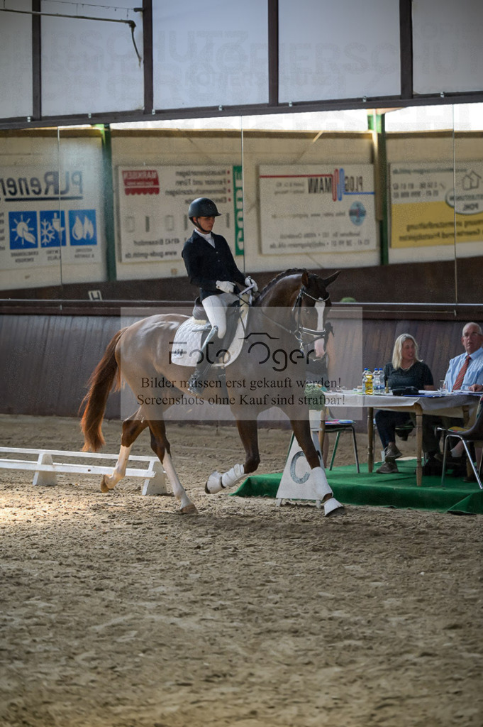 Reitturnier Voxtrup | Entdecke hochwertige Reitturnierfotos von Foto Oger. Professionell, emotional und authentisch – jetzt Lieblingsmomente im Shop bestellen.Deutschlandweite Turnierfotografie. - Realisiert mit Pictrs.com