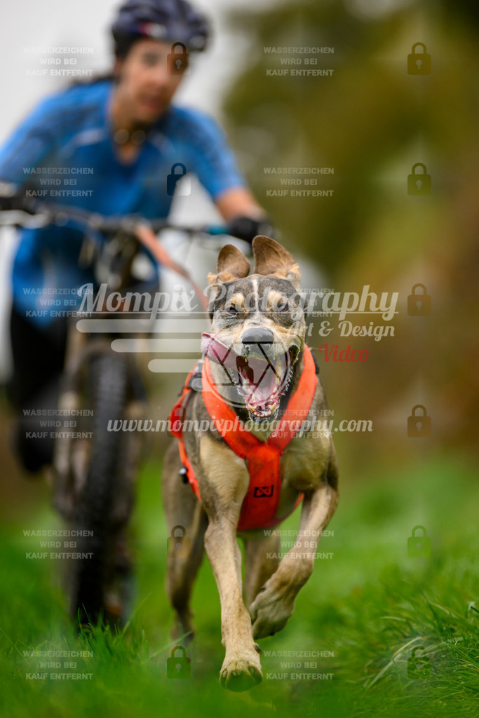 MompixPhotography_20TSB_E8_DS1-44 | PayLife