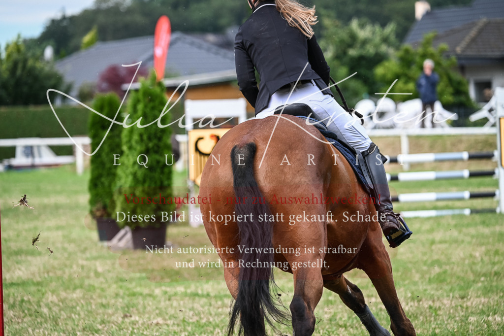 DSC_8325 | Pferde- und Turnierfotografie in Westsachsen. Pferdeportraits, Auftragszeichnungen und intuitive Kunst.