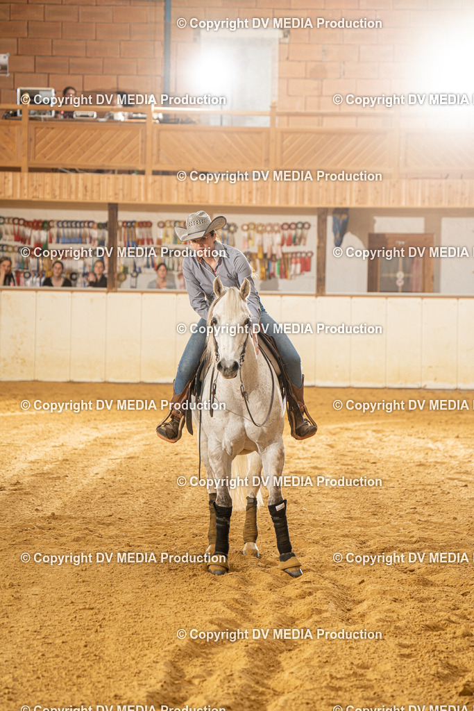 MIT00495 | dv-media-shop - Realisiert mit Pictrs.com