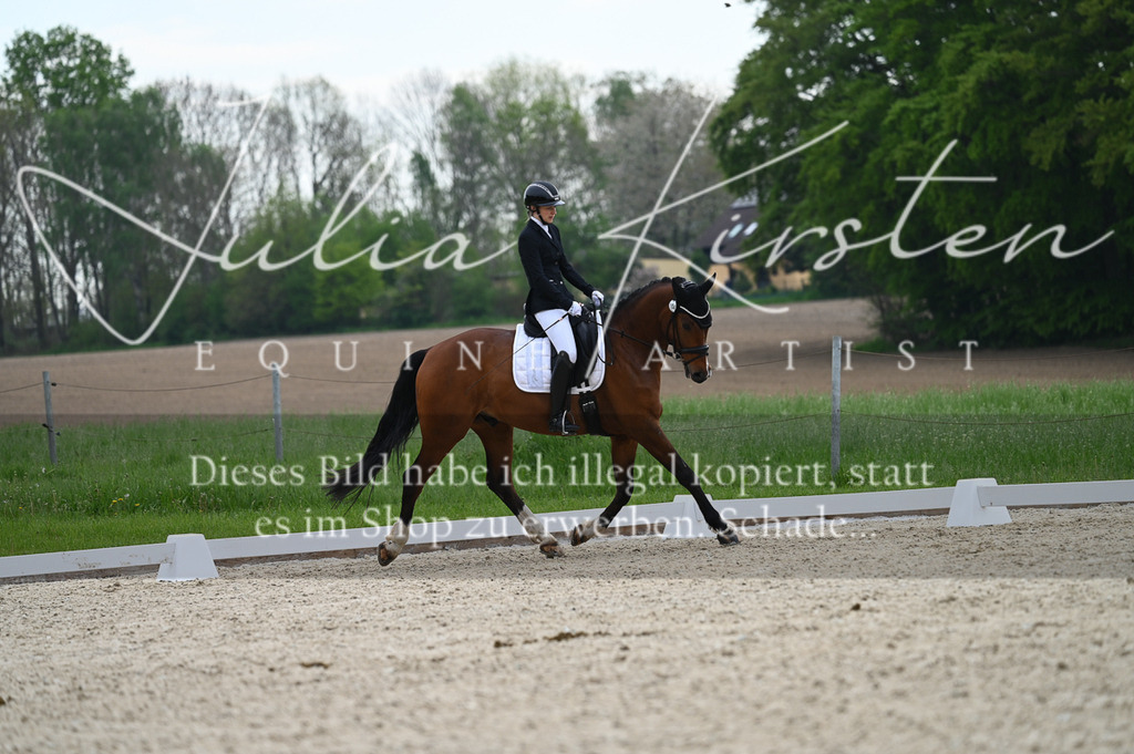 20230512_JK-Röhrsdorf-02-151 | Pferde- und Turnierfotografie in Westsachsen. Pferdeportraits, Auftragszeichnungen und intuitive Kunst.