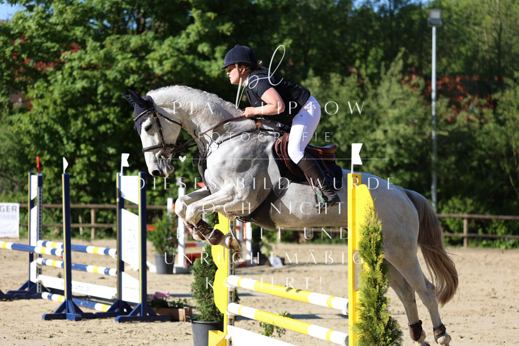 IMGS5678 | pl-fotografie