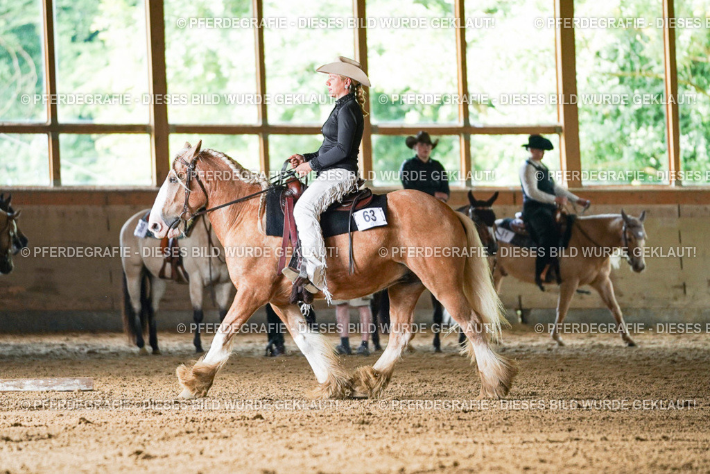 DSC05535 | Pferdegrafie