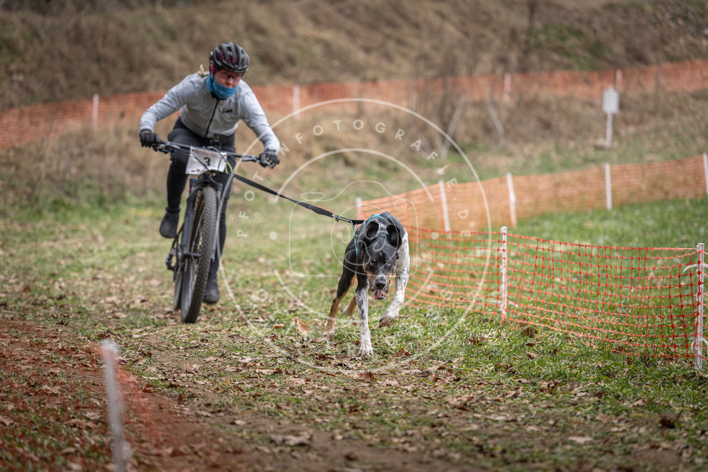 Pfotenfotografie_DV3A6218 | Hundefotografie, Tierfotograf, Pfotenfotografie, Fotoshooting Hund, Hunde Portrait, Hundesport, Hundeportraits, Heideshooting, Hunde, Sportfotograf, Hundefotograf, Turnierhundsport, THS,  - Realisiert mit Pictrs.com