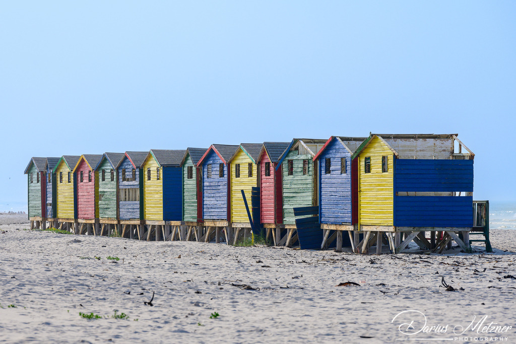 _DSC6616 | Fotografien, Fotos und Bilder aus Mainz, Frankfurt, Wiesbaden und anderen Orten auf der Welt - Fotografiert von Darius Metzner