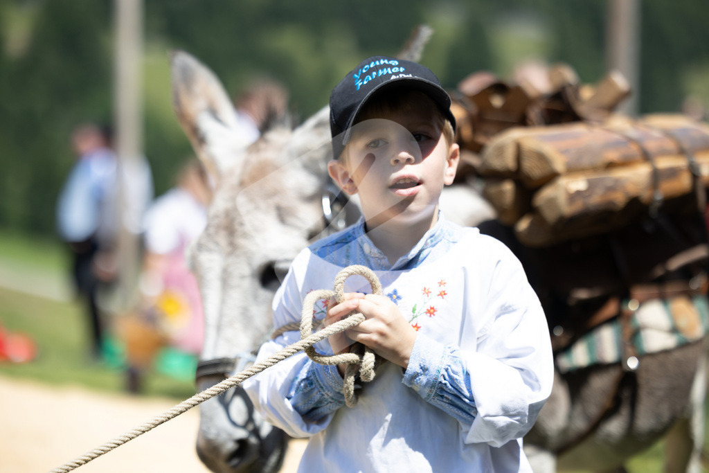 Rigi2025_2100 | Die Schwinger des Schwyzer Kantonalen Schwingerverbandes: Fotos, die Dynamik und Leidenschaft festhalten, sowie emotionale Momente aus dem traditionellen Schwingsport zeigen. - Realisiert mit Pictrs.com