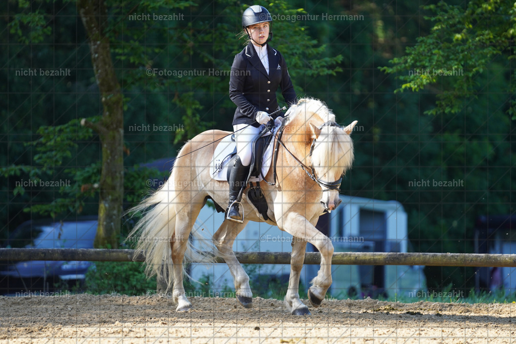 20240706-FAH04457 | Grafing Turnierfotos, Reitverein Ebersberg, Turnierfotografen Bayern, reitsportbilder, Pferdefotograf, reitsportfotograf, Sportbilder, Reitsportfotografie, Fotoagentur Herrmann, Turnierfotograf