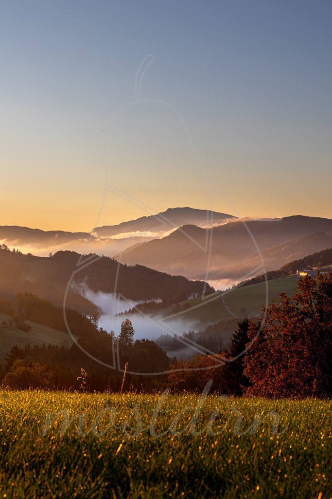 Herbstsonne am Hochkogelberg | Ihre Fotografin im Lungau, ihre Fotografin im Mostviertel, Wandbilder Onlineshop, Imagefotos für Ihr Unternehmen,  - Realisiert mit Pictrs.com