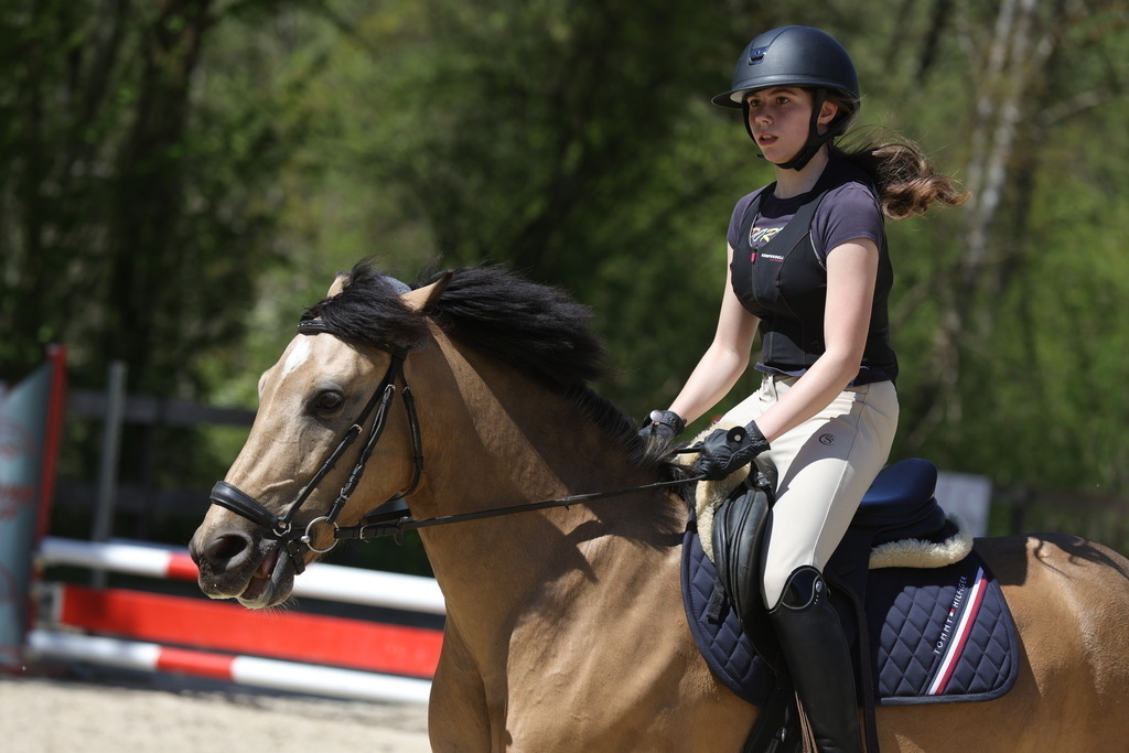 0P6A8858 | Willkommen bei Brunnmayr - Design & Fotografie – Ihrem Spezialisten für Reitturniere und Pferdeveranstaltungen in Oberösterreich, Salzburg und Bayern! Seit über 17 Jahren sind wir leidenschaftlich dabei.