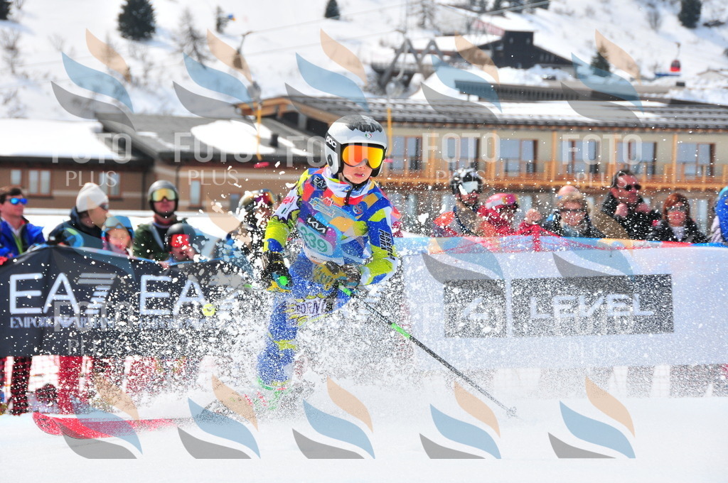 DSC_2214 | holidayphoto