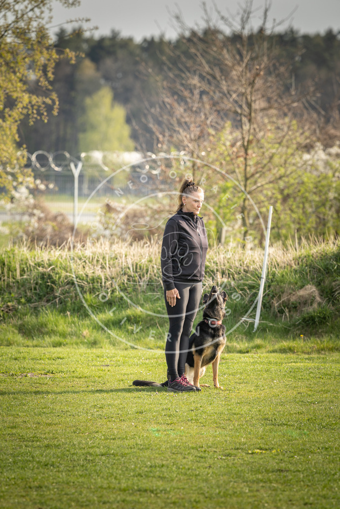 Pfotenfotografie_DV3A4820 | Hundefotografie, Tierfotograf, Pfotenfotografie, Fotoshooting Hund, Hunde Portrait, Hundesport, Hundeportraits, Heideshooting, Hunde, Sportfotograf, Hundefotograf, Turnierhundsport, THS,  - Realisiert mit Pictrs.com