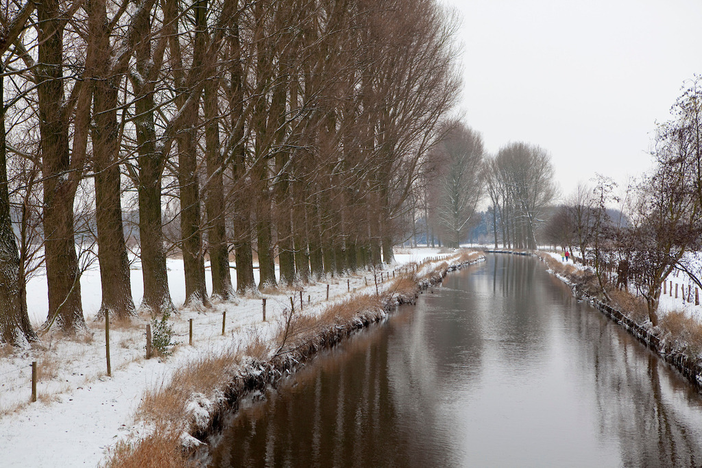 091221-003 | Europa, DEU, Deutschland, Nordrhein Westfalen, NRW, Rheinland, Niederrhein, Wachtendonk, Fluss, Die Niers, Flusslandschaft, Niersaue, Auenlandschaft, Winter, Schnee, Kategorien und Themen, Natur, Umwelt, Landschaft, Jahreszeiten, Stimmungen, Landschaftsfotografie, Landschaften, Landschaftsphoto, Landschaftsphotographie, Naturschutz, Naturschutzgebiete, Landschaftsschutz, Biotop, Biotope, Landschaftsschutzgebiete, Landschaftsschutzgebiet, Oekologie, Oekologisch, Typisch, Landschaftstypisch, Landschaftspflege

[Fuer die Nutzung gelten die jeweils gueltigen Allgemeinen Liefer-und Geschaeftsbedingungen. Nutzung nur gegen Verwendungsmeldung und Nachweis. Download der AGB unter http://www.image-box.com oder werden auf Anfrage zugesendet. Freigabe ist vorher erforderlich. Jede Nutzung des Fotos ist honorarpflichtig gemaess derzeit gueltiger MFM Liste - Kontakt, Uwe Schmid-Fotografie, Duisburg, Tel. (+49).2065.677997, 
archiv@image-box.com, www.image-box.com] - Realisiert mit Pictrs.com