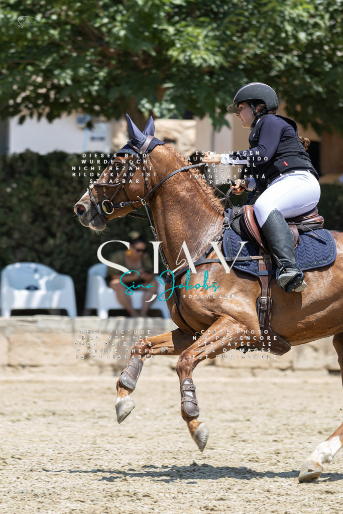 IMG_6727 | s-jay-photography - Realisiert mit Pictrs.com