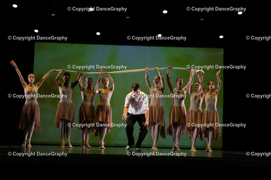 GPHY6318 | DanceGraphy - Realisiert mit Pictrs.com