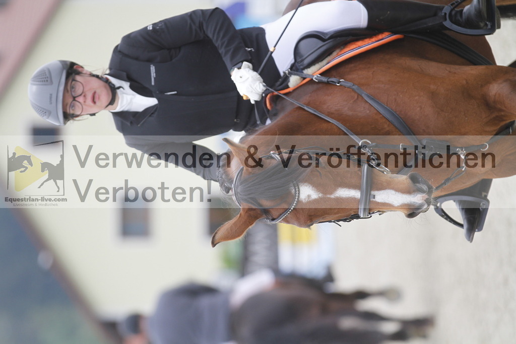_MG_3653 | equestrian-live-com