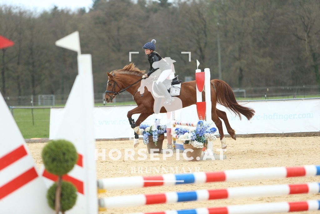 DL2Q2325 | Willkommen bei Brunnmayr - Design & Fotografie – Ihrem Spezialisten für Reitturniere und Pferdeveranstaltungen in Oberösterreich, Salzburg und Bayern! Seit über 17 Jahren sind wir leidenschaftlich dabei.