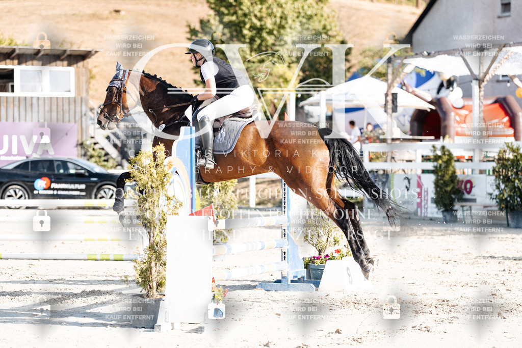 CK909620 | Turnierfotografie Pferdefotografie Trier Rheinland-Pfalz Pferdesport Reitsport Tierfotografie Sportfotografie Pferdevideo Pferdevideografie Equestrianvideography equestrianphotography  - Realisiert mit Pictrs.com