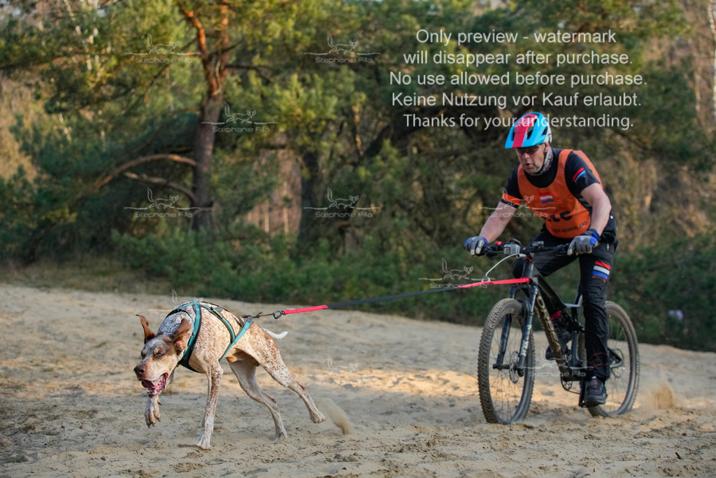 So_Bike-311 | stephaniefillaphotographie - Realisiert mit Pictrs.com