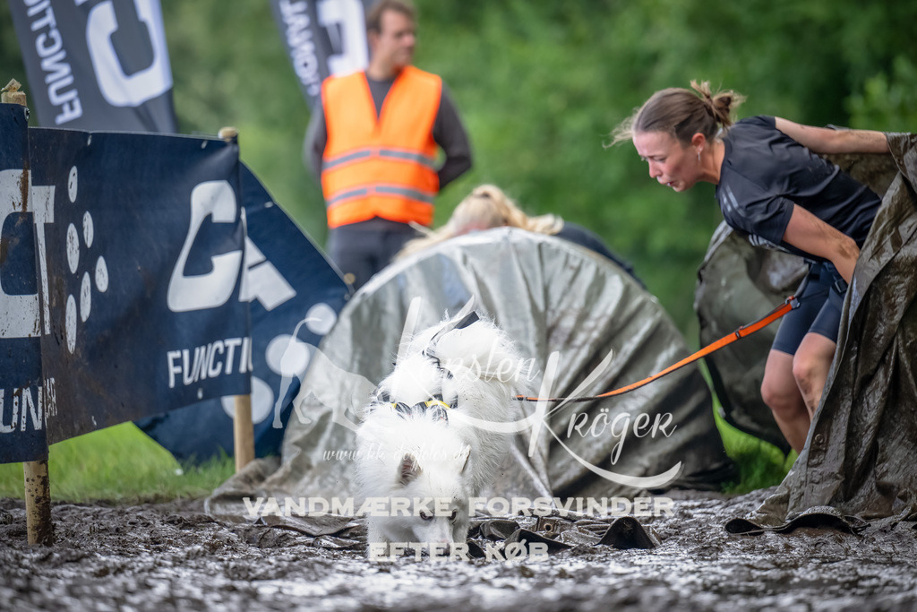 1157_ZZ90498-Bearbeitet | kk-dogfotos