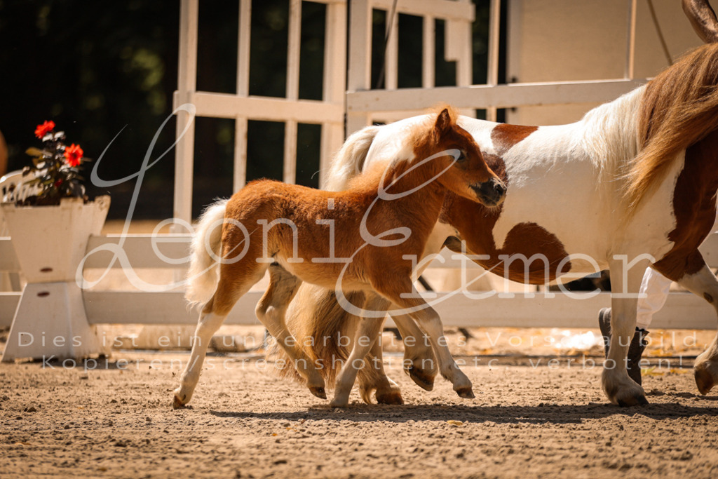 01.DoKR00113 | Leoni Ertmer Photography - Realisiert mit Pictrs.com