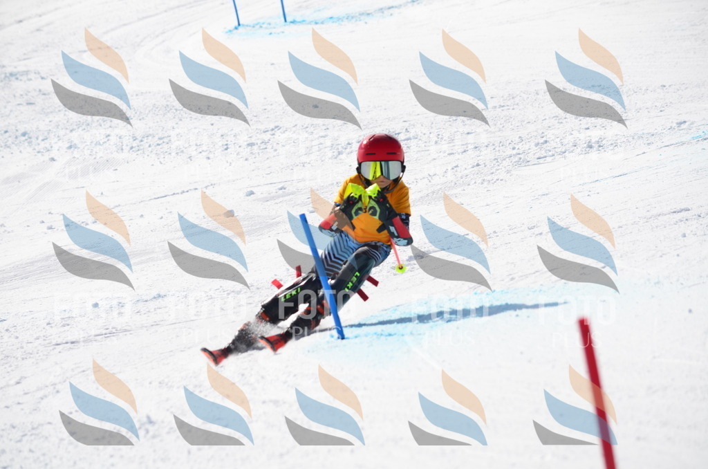 C8648 | holidayphoto