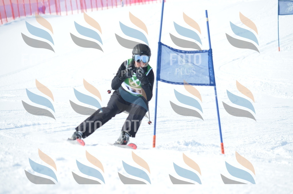 D9048 | holidayphoto