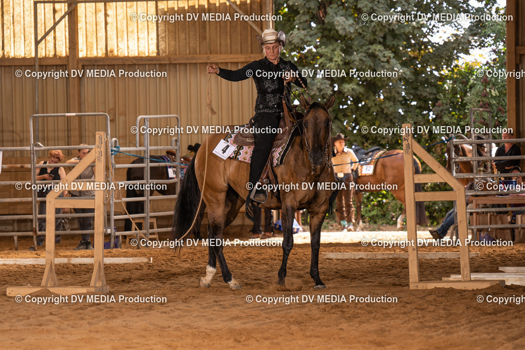 NID00594 | dv-media-shop - Realisiert mit Pictrs.com