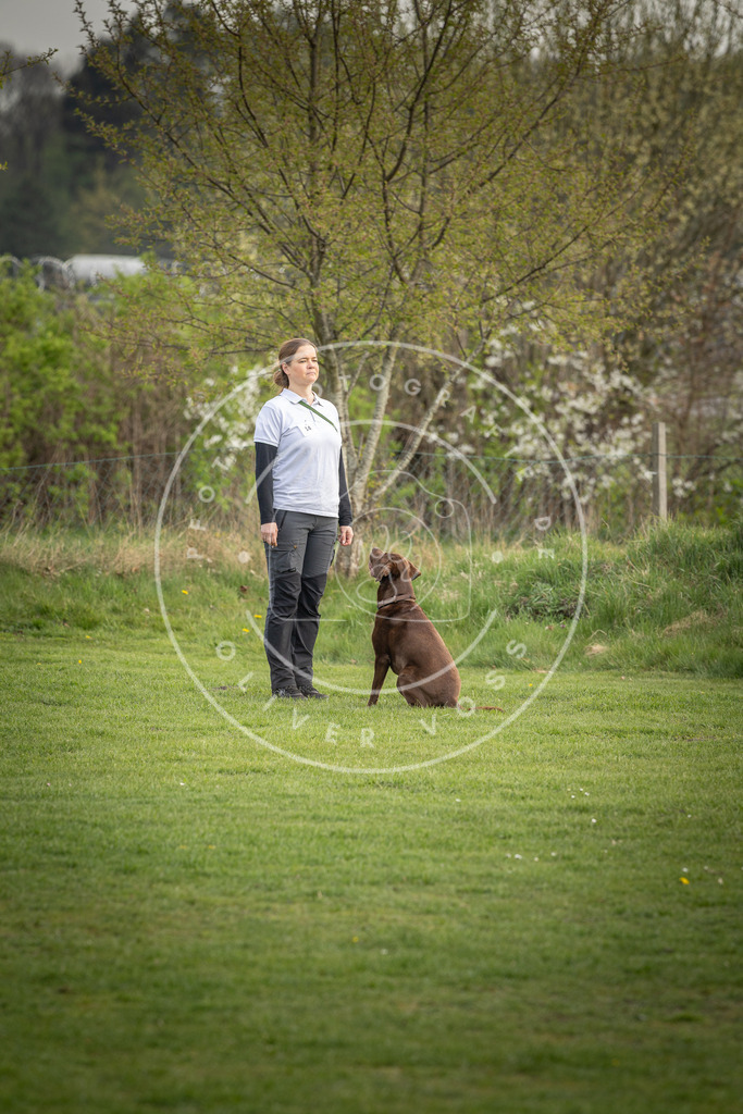 Pfotenfotografie_DV3A4946 | Hundefotografie, Tierfotograf, Pfotenfotografie, Fotoshooting Hund, Hunde Portrait, Hundesport, Hundeportraits, Heideshooting, Hunde, Sportfotograf, Hundefotograf, Turnierhundsport, THS,  - Realisiert mit Pictrs.com