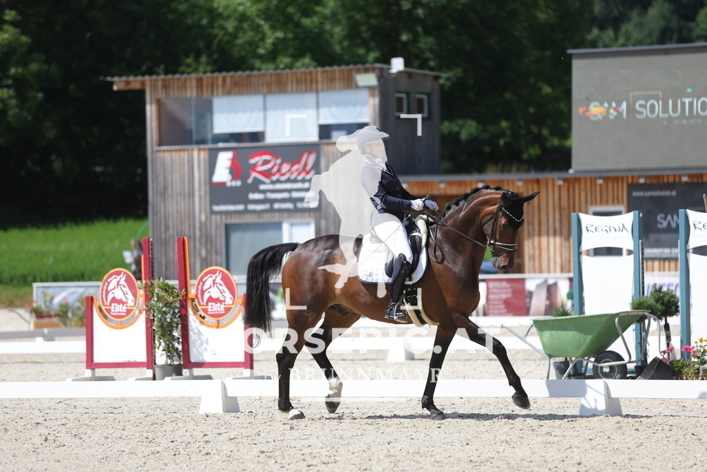 0P6A5186 | Willkommen bei Brunnmayr - Design & Fotografie – Ihrem Spezialisten für Reitturniere und Pferdeveranstaltungen in Oberösterreich, Salzburg und Bayern! Seit über 17 Jahren sind wir leidenschaftlich dabei.