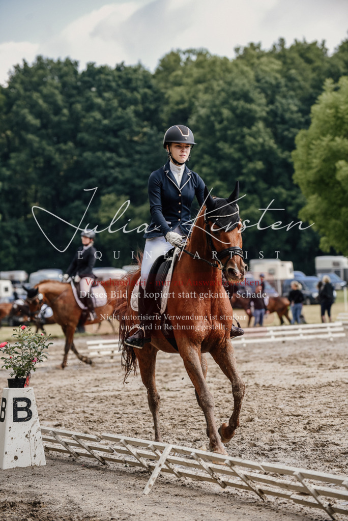 DSC_8961 | Pferde- und Turnierfotografie in Westsachsen. Pferdeportraits, Auftragszeichnungen und intuitive Kunst.