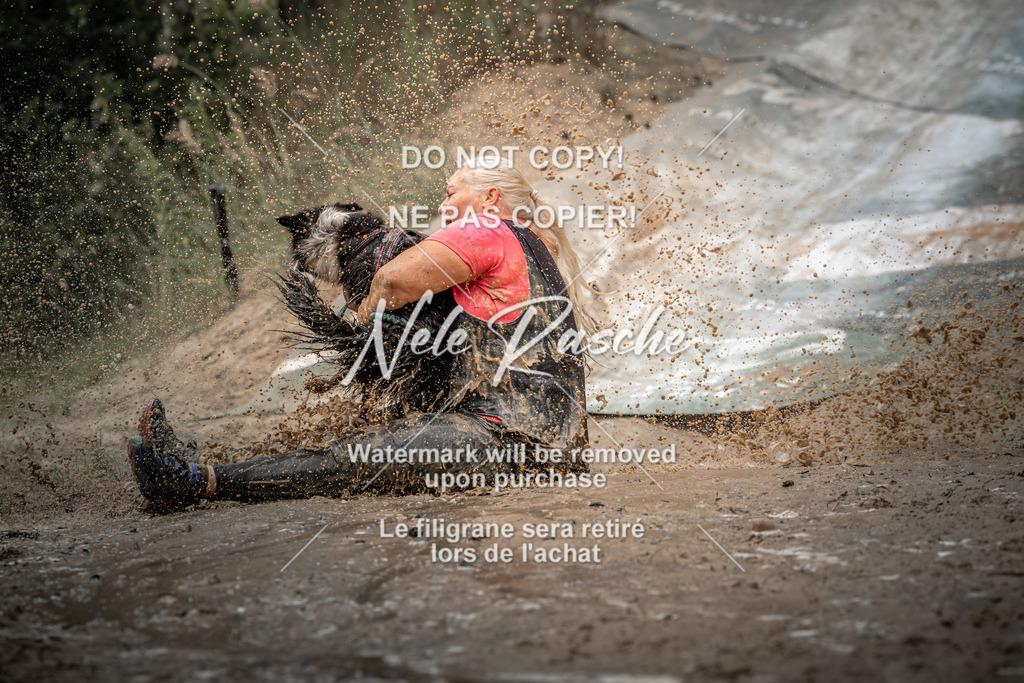nelerasche_sa1430-1500_216 | nelerasche
