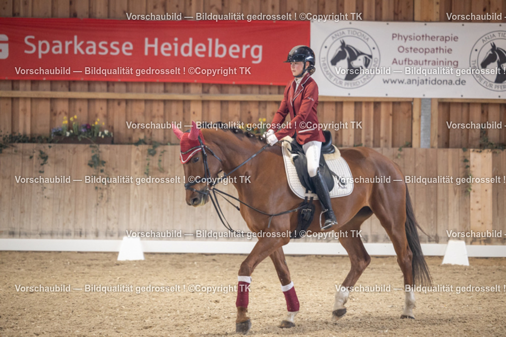 _D5A5520 | Emotionale Pferde- & People-Fotografie rund um Heidelberg, Leimen & Umgebung. Natürliche Fotos von Pferd, Mensch & Familie. Jetzt Termin sichern!