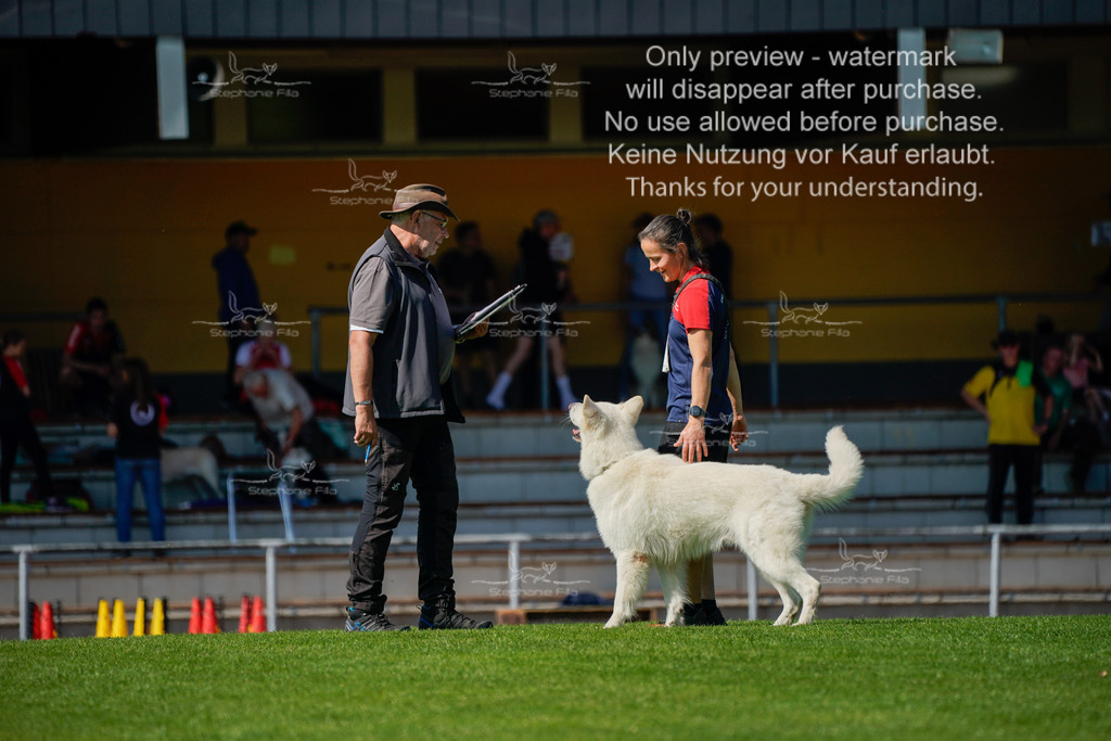 Samstag_Gehorsam (191 von 192) | stephaniefillaphotographie - Realisiert mit Pictrs.com