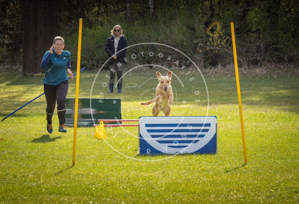 Pfotenfotografie_DV3A2748 | Hundefotografie, Tierfotograf, Pfotenfotografie, Fotoshooting Hund, Hunde Portrait, Hundesport, Hundeportraits, Heideshooting, Hunde, Sportfotograf, Hundefotograf, Turnierhundsport, THS,  - Realisiert mit Pictrs.com