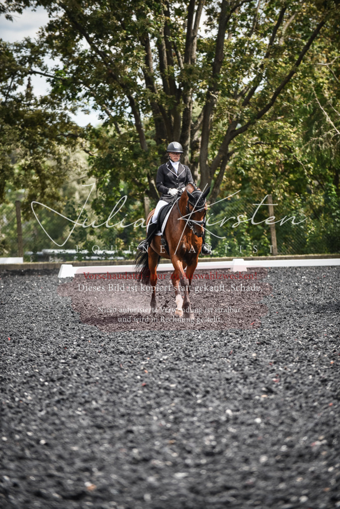DSC_4966 | Pferde- und Turnierfotografie in Westsachsen. Pferdeportraits, Auftragszeichnungen und intuitive Kunst.