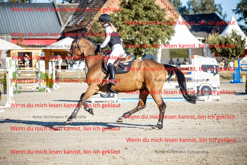 BK1A8298 | Turnierbilder Turnierfotos Nina Hüffmann Turnierfotografie Pferdefotografie Tierzeichnung Haustierzeichnung Pferdezeichnung Hundezeichnung Videograf  - Realisiert mit Pictrs.com