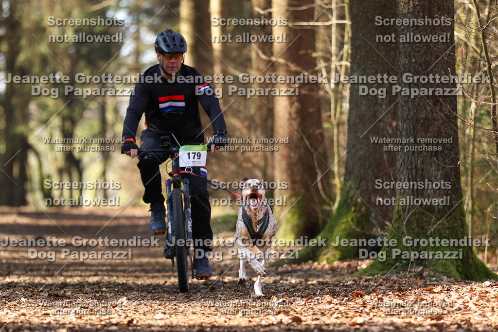 Dog Paparazzi - VCC26-1020 | Dog Paparazzi Jeanette Grottendiek Fotografie & Videografie - Realisiert mit Pictrs.com