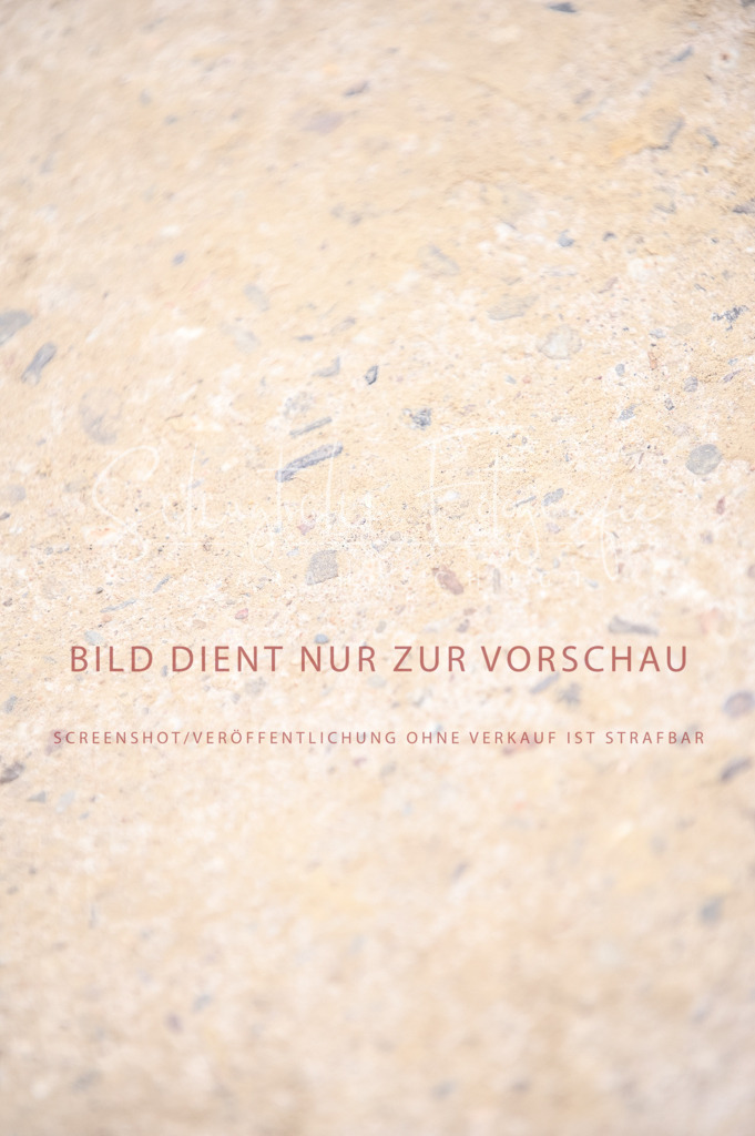 Schugtsche-Aluta25-44.DresssurreiterWB-365 | Schugtsche Fotografie - Realisiert mit Pictrs.com