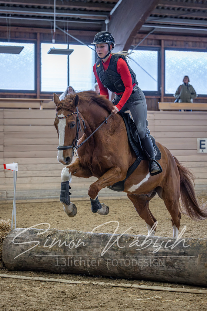 20260221-_3LI9018 | Tierfotografie Pferde, Hunde, Katzen, Haustiere.
Turnierfotografie Reitturniere, Reiten, Springreiten, Dressur in Hanau, dem Main-Kinzig-Kreis und dem Rhein-Main- Gebiet um Frankfurt